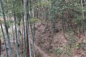 浙江绍兴居然还有这么贫穷的高山村，全是黄泥房视频封面