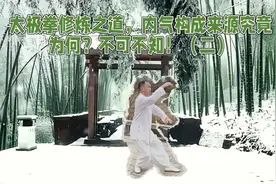 水谷之气与太极拳内气渊源成谜，这个关键要素你知道吗？视频封面