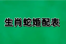 生肖蛇婚配表视频封面
