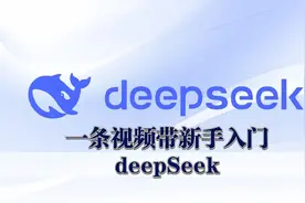 如何使用deepSeek，一条视频带新手入门！视频封面