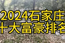 2024石家庄十大富豪排名