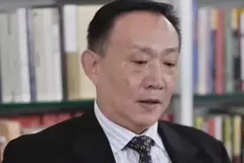 卢麒元进京回来后的一段话 终究谁来谱写未来中国视频封面