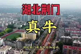 湖北荆门真是牛，华中地区重要交通枢纽，荆楚门户，城市荣誉众多视频封面