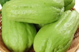 佛手瓜的功效与作用视频封面