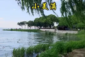 热辣滚烫主题曲视频封面
