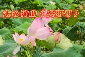 走心神曲《兵哥哥》纯音乐，太有磁性了，一听就上瘾永远的经典…视频封面