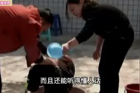 四川男子路边捡到大黑狗，本以为是流浪狗，不料身世竟大有来头视频封面