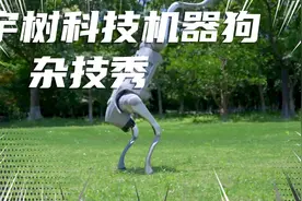 宇树科技机器狗杂技秀，精彩不断，连续翻滚推不断视频封面