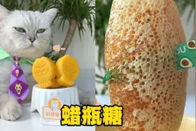猫王：用土蜂巢制作蜡瓶糖！视频封面