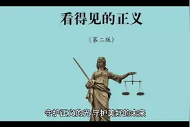 守护正义的光视频封面