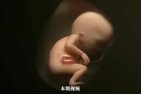 胎儿在妈妈肚子里会干些什么？视频封面