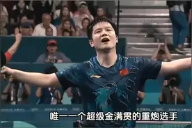 再看樊振东在巴黎奥运会男单四分之一决赛的表现，心情是复杂