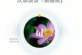 淮剧《炊烟袅袅》（插播版）江苏省淮剧团演唱视频封面