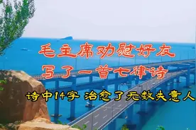 毛主席《七律.和柳亚子先生》，牢骚太盛防肠断，风物长宜放眼量视频封面