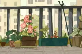 《蘑菇》完整版视频封面