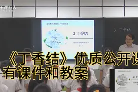 《丁香结》新课标优质公开课，有课件和教案可分享
