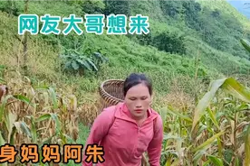 尼泊尔单身妈妈阿朱带我摘黄瓜，网友大哥特想来改善阿朱的现状视频封面