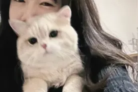 美女坐车竟被小伙用镜子偷看视频封面
