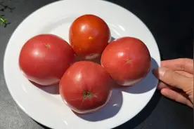 番茄这么做，不节食，我两天掉了三斤，方法简单营养好吃又好坚持视频封面