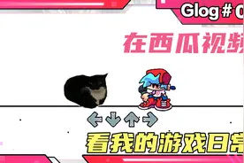 fnf：VS 旋转猫视频封面