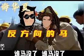 反  方  向  的  马视频封面