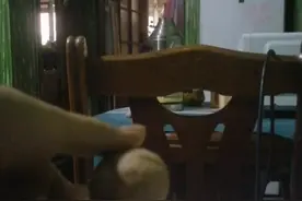 铁砂掌捏核桃，视频封面