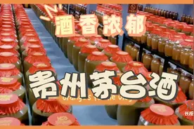 贵州茅台驰名中外，家人们还记得吗？带你感受不一样的琼浆玉液视频封面
