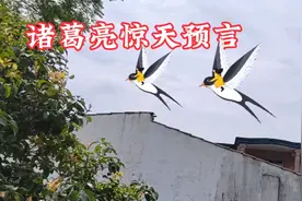 诸葛亮惊天预言视频封面