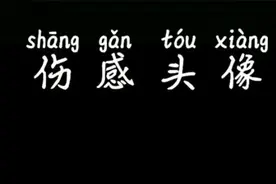 桂和大虫的老轩，伤感的头像视频封面