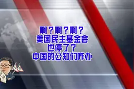 花千芳：啊？啊？啊？美国民主基金会也停了？中国的公知们咋办视频封面