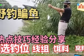 野钓鳊鱼，热点技巧经验分享，选钓位、线组、饵料、窝料视频封面