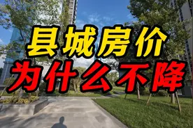 县城的房价为什么不降价？房子房贷房产楼市房地产贷款房价下跌视频封面