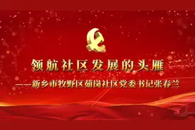 领航社区发展的头雁——河南省新乡市牧野区茹岗社区党委书记张春视频封面