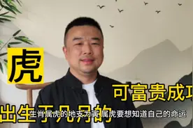 出生于几月的虎可富贵成功视频封面