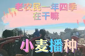 老农民一年四季在干嘛？收了小麦种玉米天天在地无假期。原创