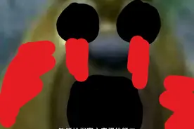 狗熊岭档案之奇怪的熊二视频封面