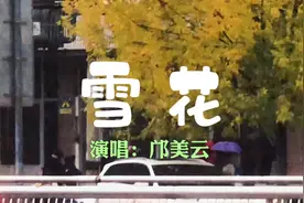 邝美云《雪花》，动人的嗓音，醉人的曲调，经典歌曲百听不厌。