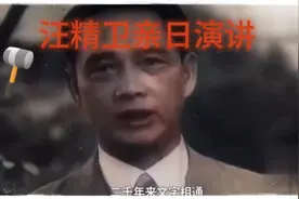 看完汪精卫亲日演讲，更觉得他死有余辜，骨子里的软弱视频封面