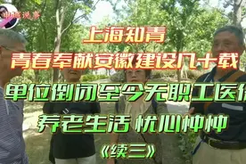 上海知青青春奉献安徽几十载  如今单位倒闭无医保 忧心忡忡视频封面
