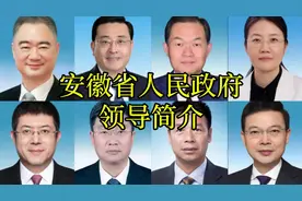 安徽省人民政府简介#父母官#政府领导#安徽#合肥视频封面