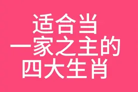 适合当一家之主的四大生肖？快来看看视频封面