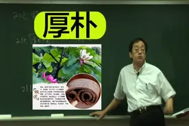 倪海厦讲本草：厚朴视频封面