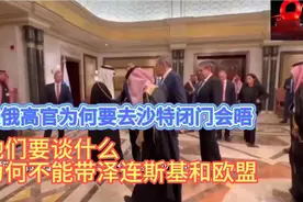 俄罗斯与美国为什么在沙特利雅得会晤，泽连斯基去干什么去了视频封面