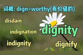 尊严与侮辱并存，秒懂dignity, indignity,  disdain-UP单词104天