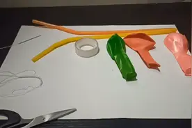 鸟的肺部模型制作