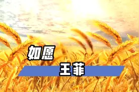 【无损音质】《如愿》视频封面