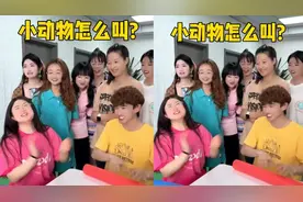 小动物怎么叫？视频封面
