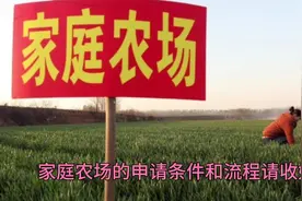 国家新政策，家庭农场的申请条件和申请流程视频封面