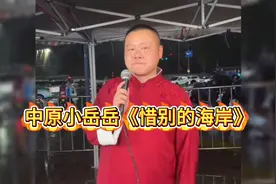 中原小岳岳，不仅人长得像岳云鹏，唱歌也特别想，简直就是高仿版视频封面