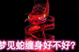 梦见蛇缠身好不好？   周公解梦视频封面
